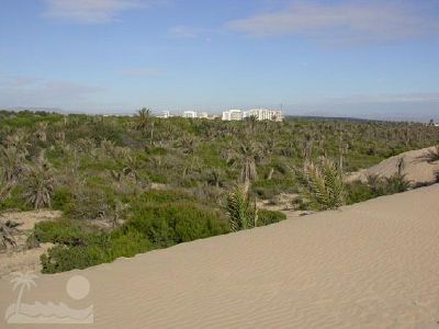 vista de duna 3 de 6